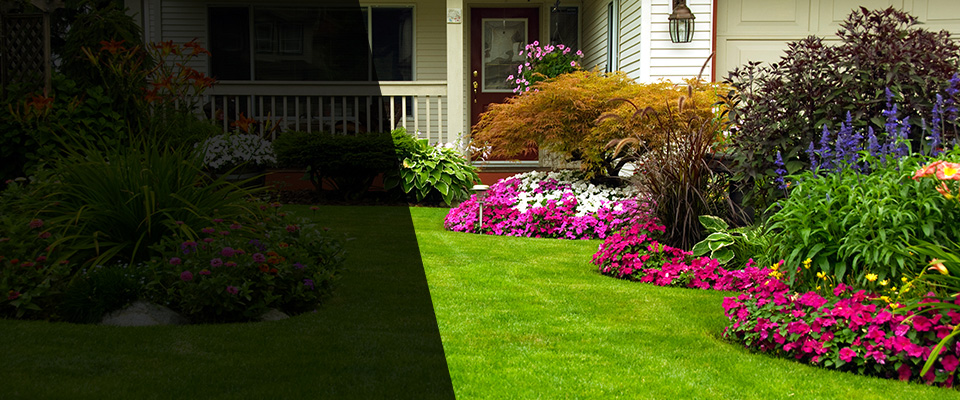 Stockton Landscapers